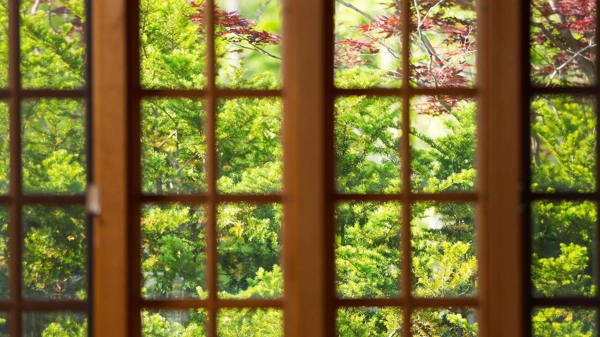 Hotel Mizunoto Nanae